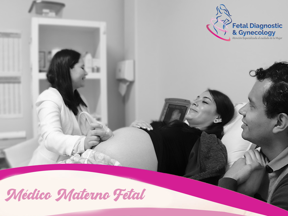 Estudio especializado fetal